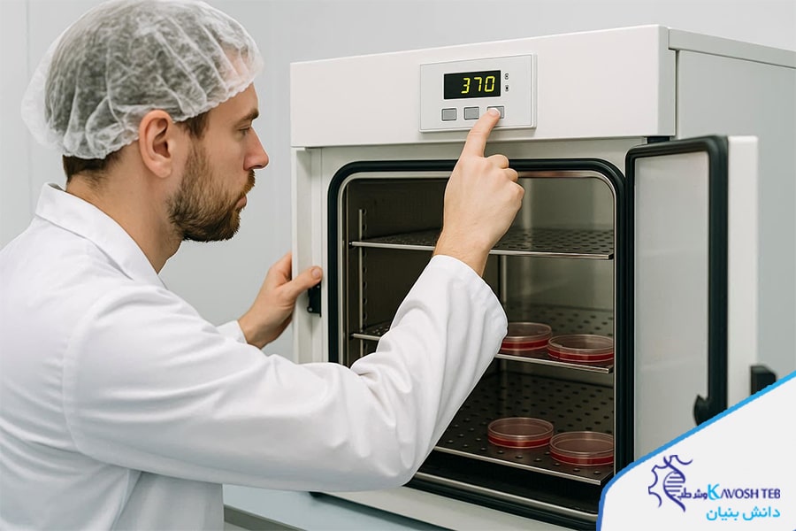 انکوباتور کربن دی اکسید