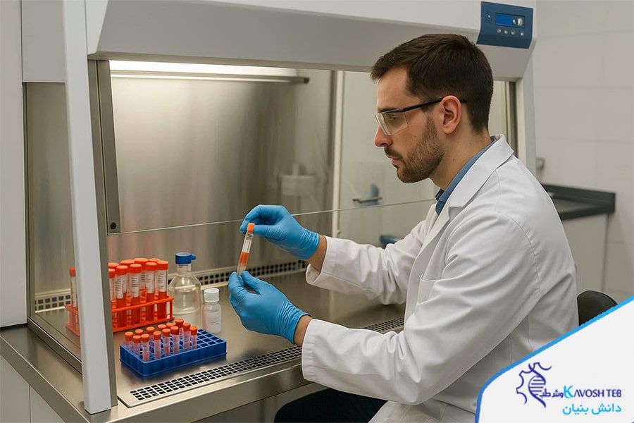 هود بیولوژی