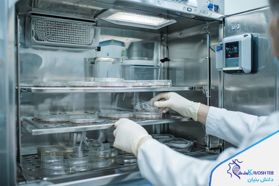 آلودگی در انکوباتور CO2