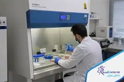 راهنمای کامل هود لامینار کلاس 2
