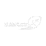 سلامت الکترونیک کارا