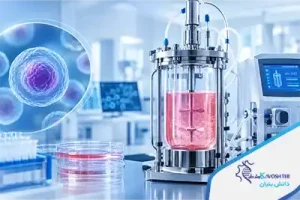 نقش بیوراکتور سلول بنیادی در تمایز سلولی